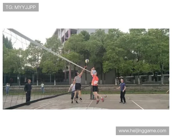 成都排球队的奋进之路:一段排球精神与团队合作的真实纪实 成都排球队的奋进之路:一段排球精神与团队合作的真实纪实