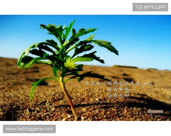 追逐梦想的脚步足球明星的励志故事与激励壁纸分享